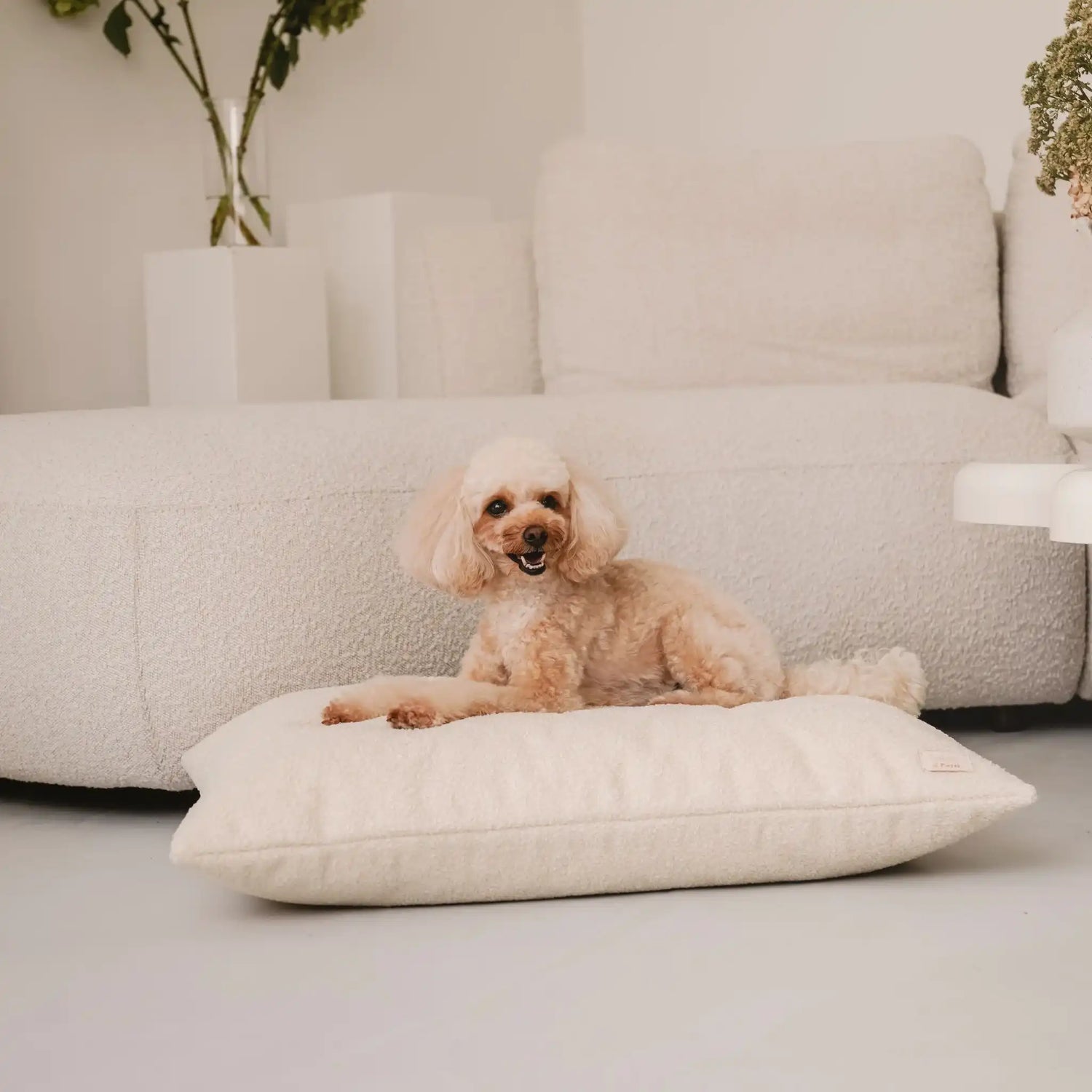 Poduszki Wypoczynku - nowoczesne legowisko dla psa