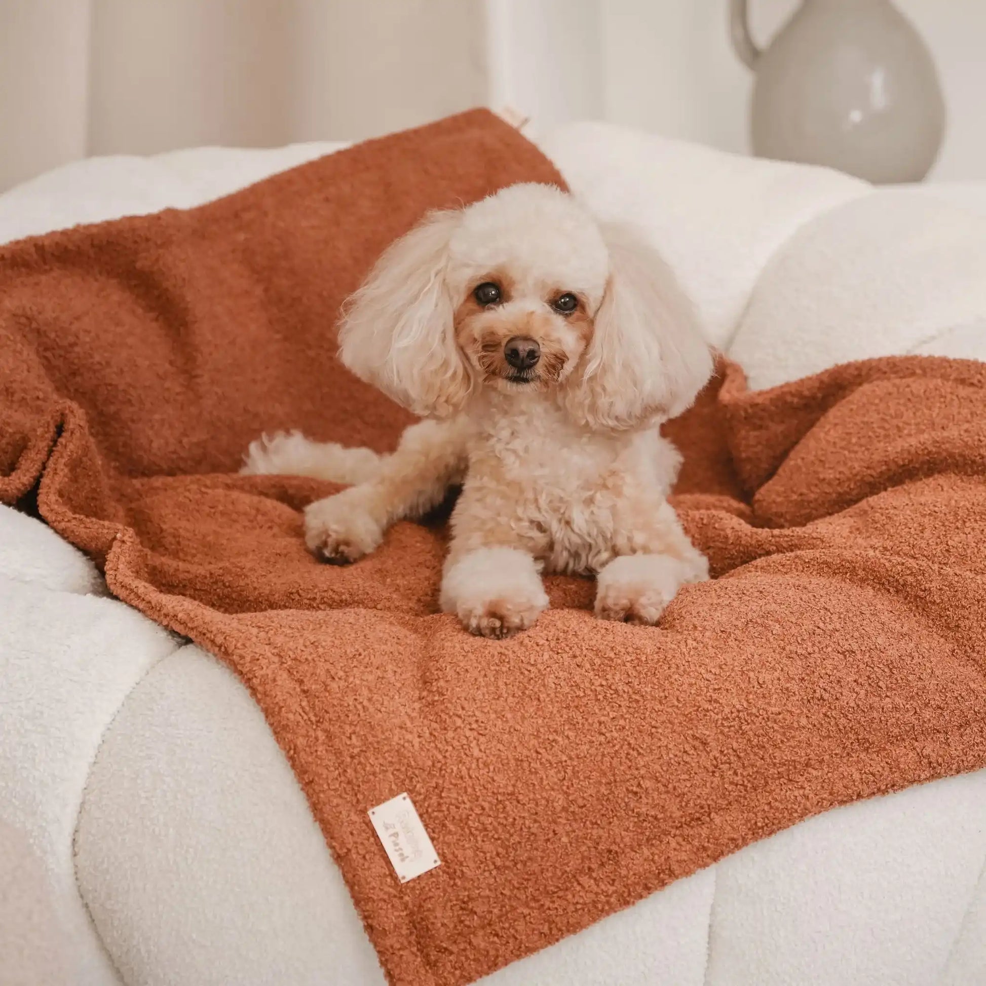 Pies leży na miękkim kocyku dla psa z tkaniny boucle, w kolorze nugat (brązowo-rudy), który znajduje się na fotelu w jasnym, nowoczesnym wnętrzu. Nowoczesna, wysokiej jakości tkanina boucle z certyfikatami bezpieczeństwa.