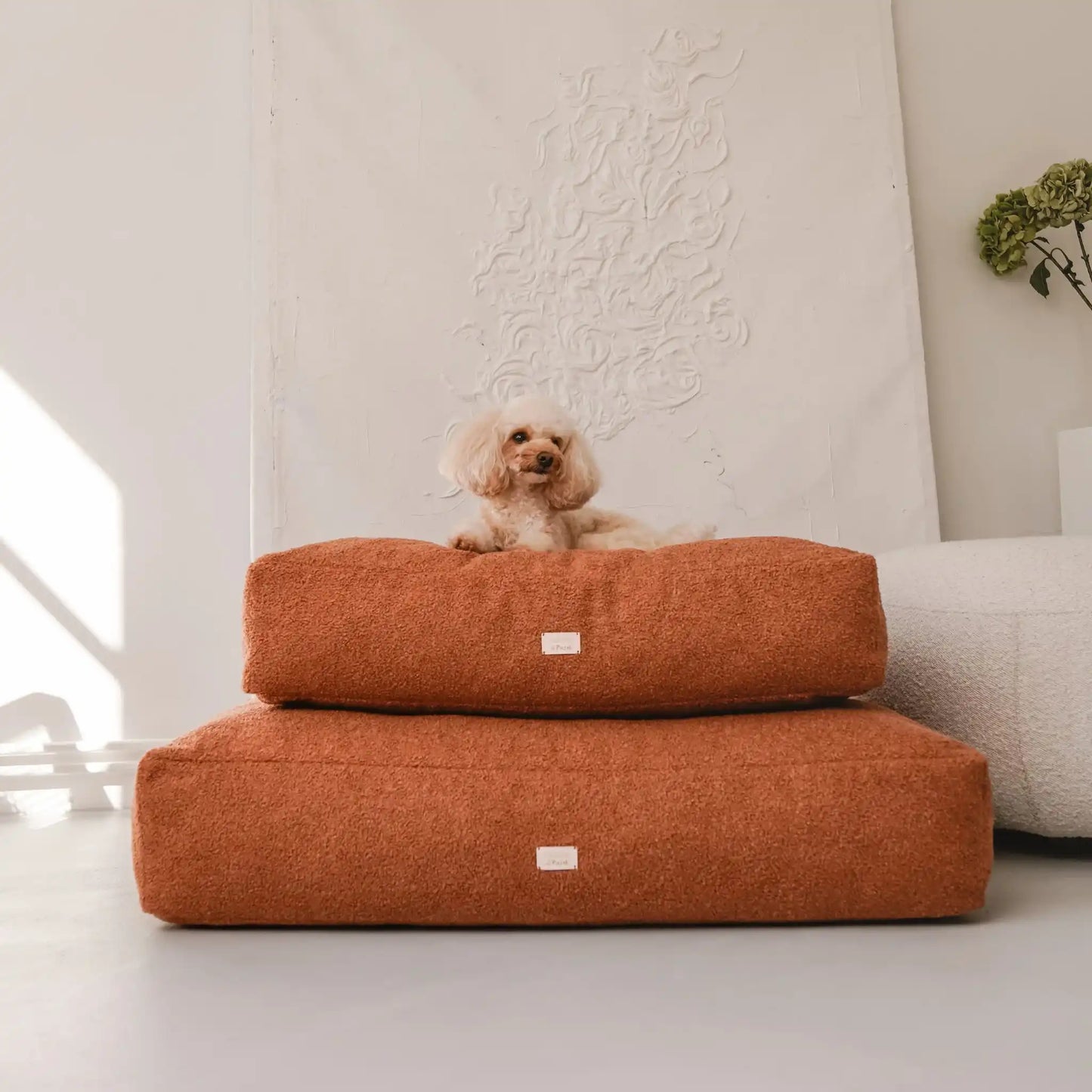 Piesek leży na dwóch (ułożonych na sobie w rozmiarze m i l) miękkich legowiskach dla psa (materacach) w kolorze nugat (rudy brąz), które znajdują się w jasnym, nowoczesnym wnętrzu na tle kanapy oraz nowoczesnego obrazu w jednolitym kolorze). Nowoczesna, wysokiej jakości tkanina boucle z certyfikatami bezpieczeństwa.