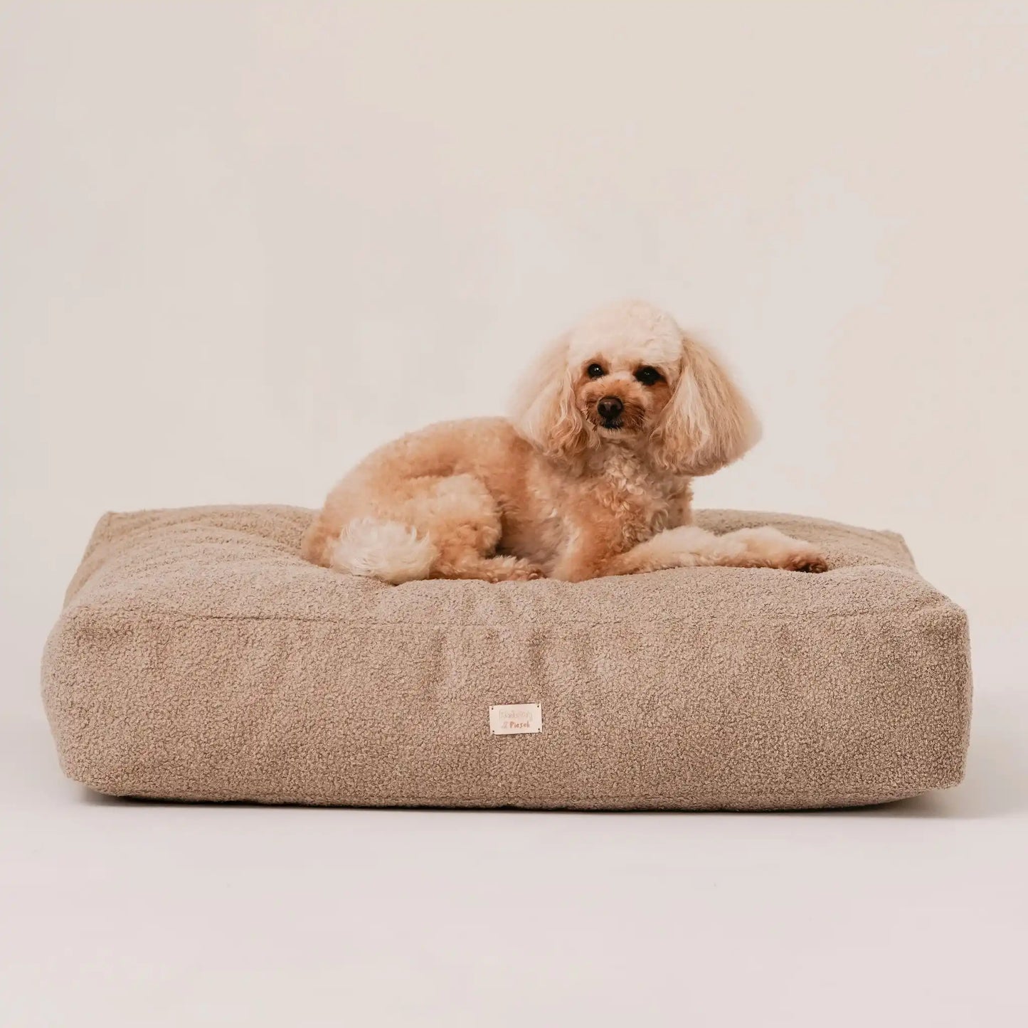 Piesek, rasy pudel miniaturowy w kolorze beżowym leży na miękkim legowisku dla psa (materac dla psa) w kolorze pralinka (jasny brąz), która znajduje się na jasnym, czystym tle. Nowoczesna, wysokiej jakości tkanina boucle z certyfikatami bezpieczeństwa.