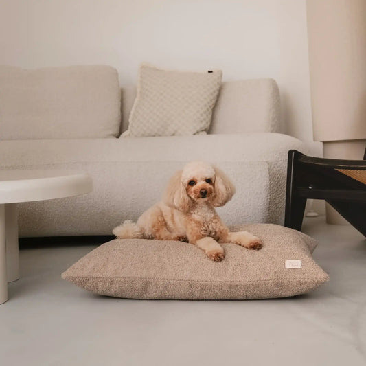 Piesek leży na miękkim legowisku dla psa (poduszce) w kolorze pralinka (jasny brąz), która znajduje się w jasnym, nowoczesnym wnętrzu na tle kanapy, stolika i drewnianego krzesła. Nowoczesna, wysokiej jakości tkanina boucle z certyfikatami bezpieczeństwa.