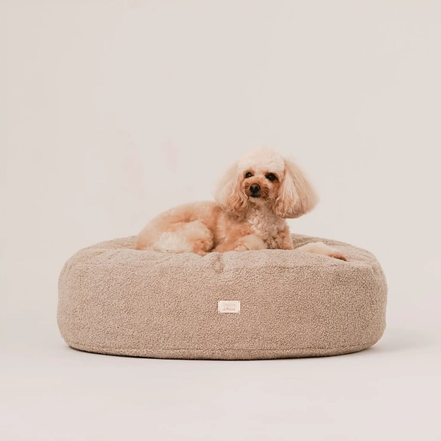 Piesek, rasy pudel leży na miękkim legowisku dla psa (pufa dla psa) w kolorze pralinka (jasny brąz), która znajduje się na jasnym, czystym tle. Nowoczesna, wysokiej jakości tkanina boucle z certyfikatami bezpieczeństwa.