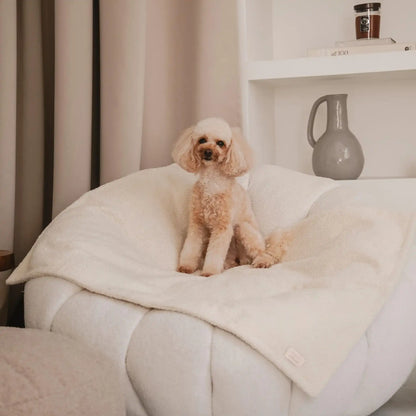 Pies leży na miękkim kocyku dla psa z tkaniny boucle, w kolorze chałwa (kremowy), który znajduje się na fotelu w jasnym, nowoczesnym wnętrzu. Nowoczesna, wysokiej jakości tkanina boucle z certyfikatami bezpieczeństwa.