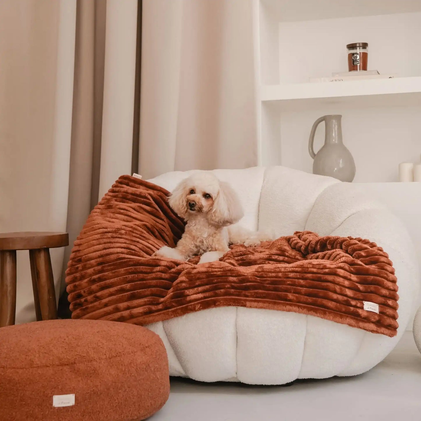 Pies leży na miękkim kocyku dla psa w kolorze cynamonek (brazowo-rudy), który znajduje się na fotelu w jasnym, nowoczesnym wnętrzu.