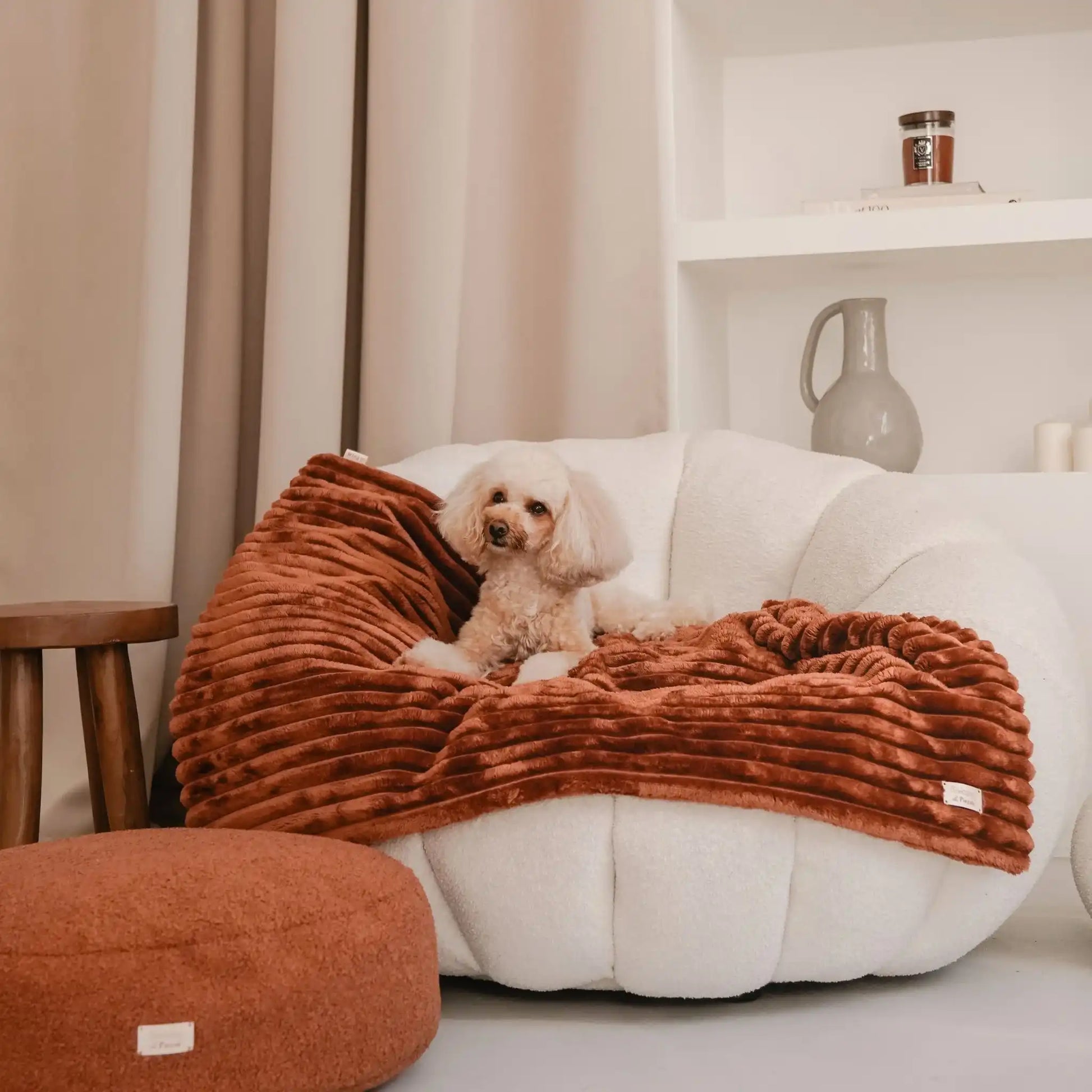 Pies leży na miękkim kocyku dla psa w kolorze cynamonek (brazowo-rudy), który znajduje się na fotelu w jasnym, nowoczesnym wnętrzu.