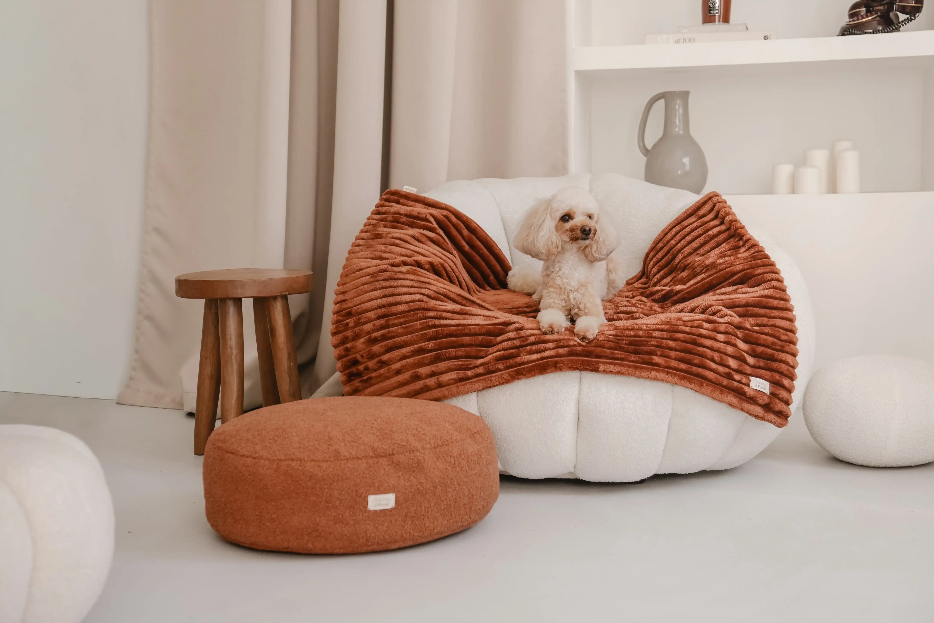 Pies leży na miękkim kocyku dla psa w kolorze cynamonek (brazowo-rudy), który znajduje się na fotelu w jasnym, nowoczesnym wnętrzu.