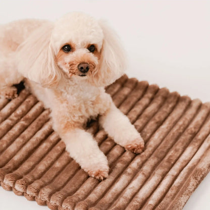 Zbliżenie na pieska, który leży na puszystym kocyku dla psa, w kolorze ciasteczko (brąz). Jasne, czyste tło. Kocyk ma falowaną strukturę.
