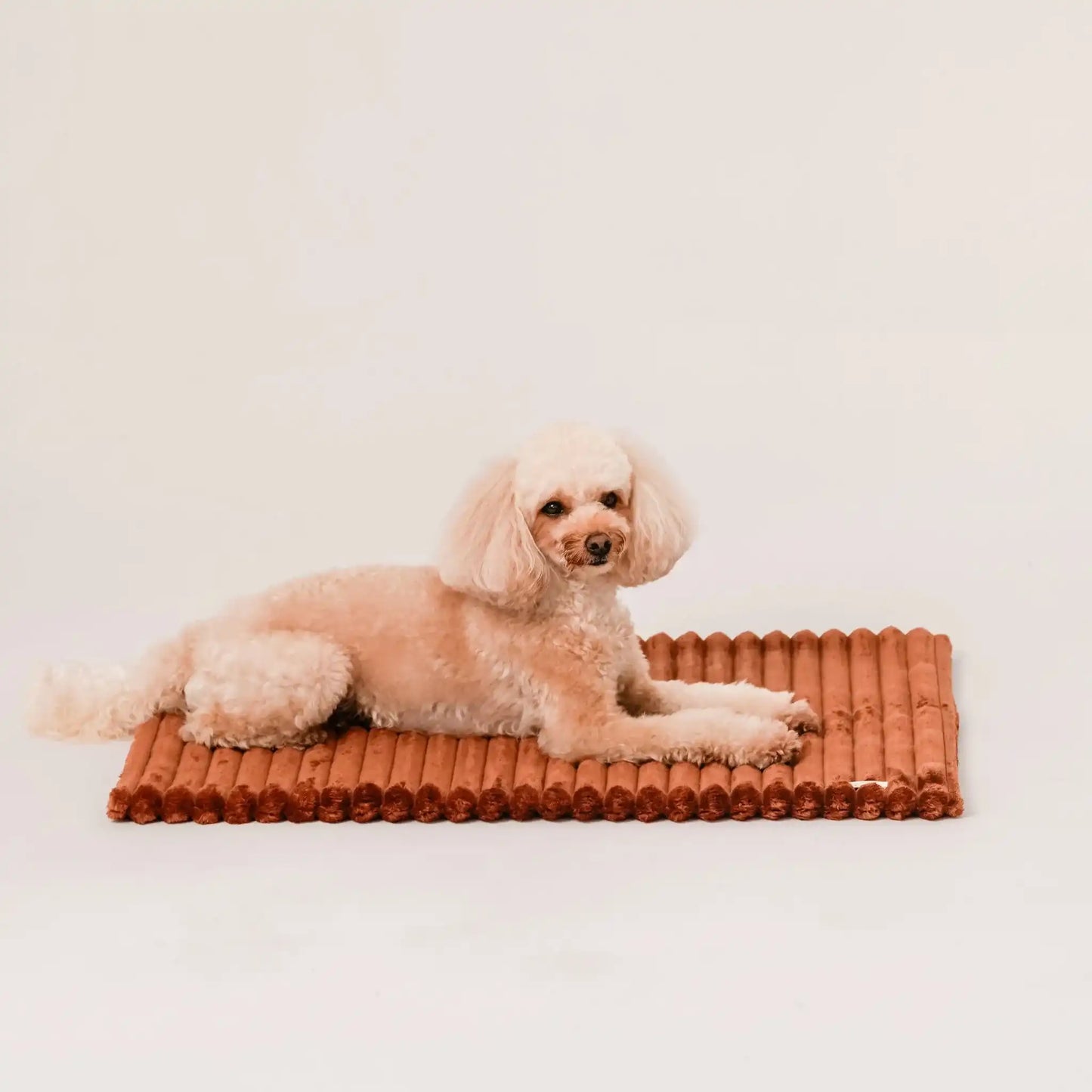 Piesek leży na puszystym kocyku dla psa, w kolorze nugat (rudo-brązowy). Kocyk ma falowaną strukturę. Jasne, czyste tło.