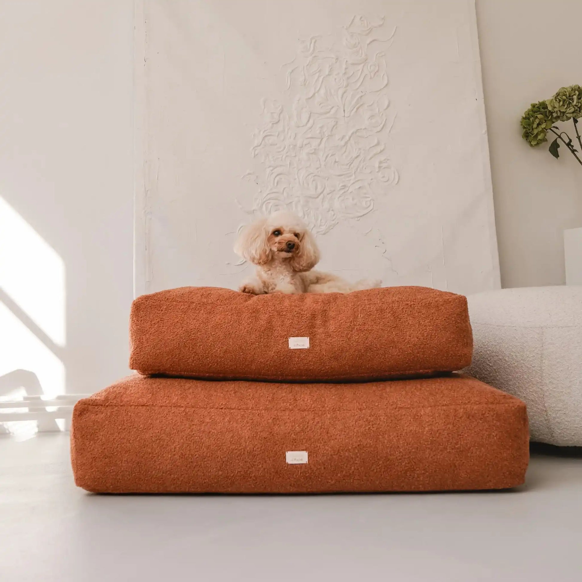 Piesek leży na dwóch (ułożonych na sobie w rozmiarze m i l) miękkich legowiskach dla psa (materacach) w kolorze nugat (rudy brąz), które znajdują się w jasnym, nowoczesnym wnętrzu na tle kanapy oraz nowoczesnego obrazu w jednolitym kolorze). Nowoczesna, wysokiej jakości tkanina boucle z certyfikatami bezpieczeństwa.