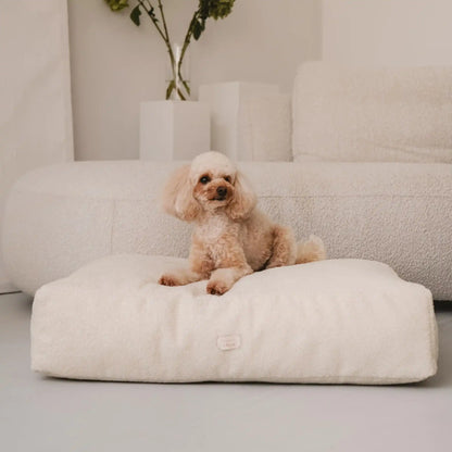 Piesek leży na miękkim legowisku dla psa, materacu dla psa w kolorze chałwa (kremowy), która znajduje się w jasnym, nowoczesnym wnętrzu na tle kanapy, stolika i zielonych kwiatów. Nowoczesna, wysokiej jakości tkanina boucle z certyfikatami bezpieczeństwa.