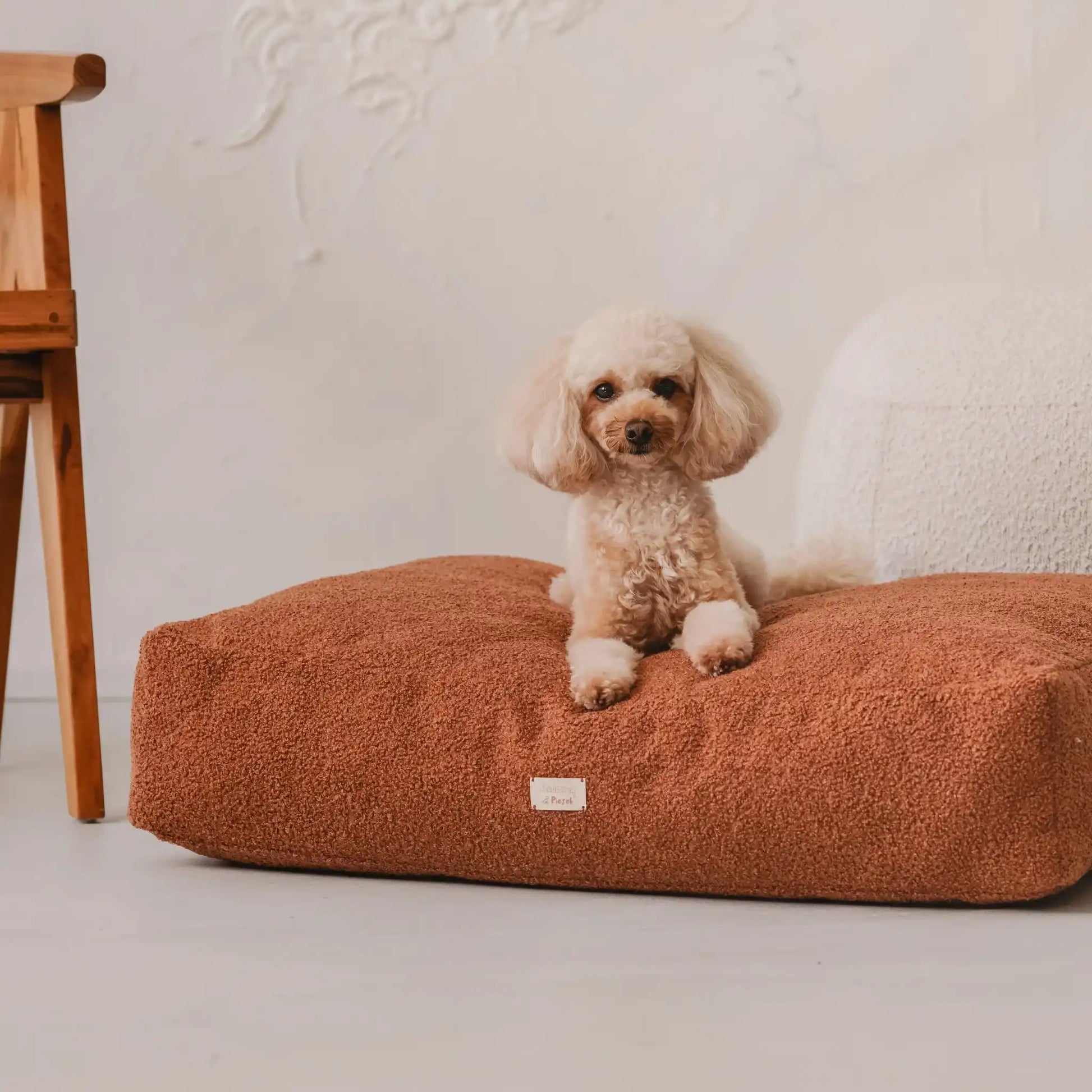 Piesek leży na miękkim materacu dla psa (legowisko dla psa) w kolorze nugat (rudy brąz), który znajduje się w jasnym, nowoczesnym wnętrzu na tle kanapy, obrazu oraz drewnianego krzesła. Nowoczesna, wysokiej jakości tkanina boucle z certyfikatami bezpieczeństwa.