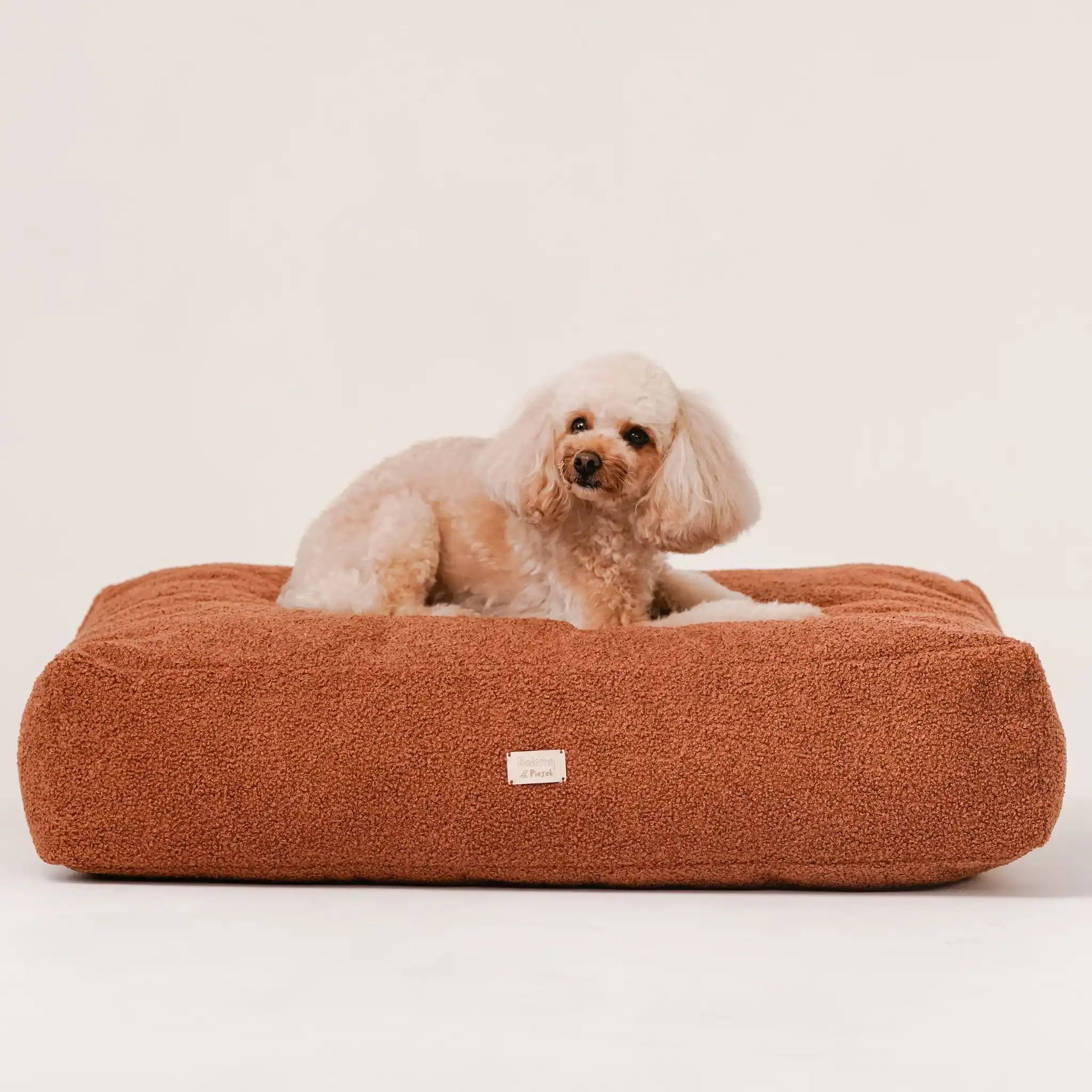 Piesek, rasy pudel miniaturowy w kolorze beżowym leży na miękkim legowisku dla psa (materac dla psa) w kolorze nugat (rudy brąz), która znajduje się na jasnym, czystym tle. Nowoczesna, wysokiej jakości tkanina boucle z certyfikatami bezpieczeństwa.