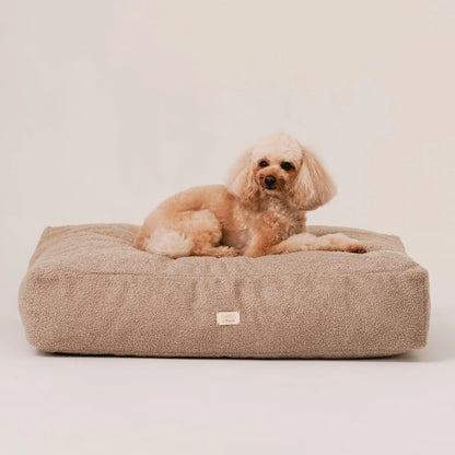Piesek, rasy pudel miniaturowy w kolorze beżowym leży na miękkim legowisku dla psa (materac dla psa) w kolorze pralinka (jasny brąz), która znajduje się na jasnym, czystym tle. Nowoczesna, wysokiej jakości tkanina boucle z certyfikatami bezpieczeństwa.