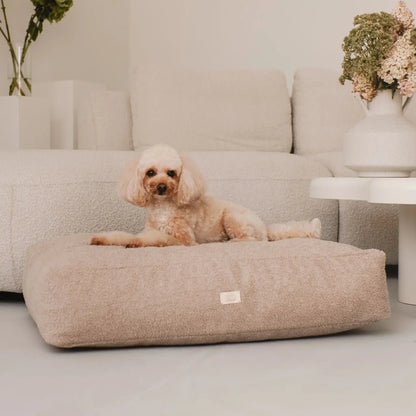 Piesek leży na miękkim legowisku dla psa (materac dla psa) w kolorze pralinka (jasny brąz), która znajduje się w jasnym, nowoczesnym wnętrzu na tle kanapy i zielonych kwiatów. Nowoczesna, wysokiej jakości tkanina boucle z certyfikatami bezpieczeństwa.