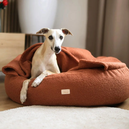 Whippet w jasnym kremowym kolorze leży w okrągłej norce dla psa z tkaniny boucle w kolorze nugat (ceglasto-brązowym). Legowisko znajduje się w jasnym, ciepłym, nowoczesnym wnętrzu. Piesek patrzy w obiektyw z lekki uśmiechem.