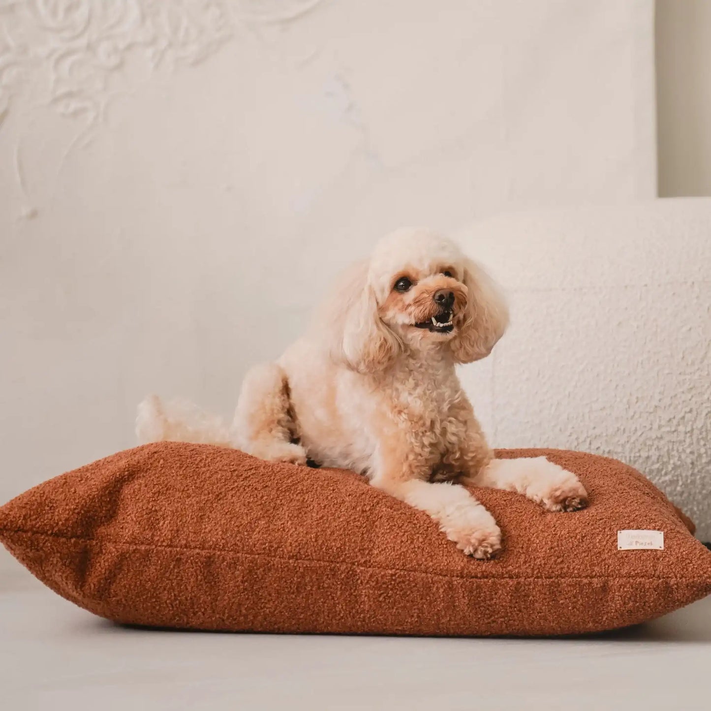 Piesek leży na miękkiej poduszce dla psa (legowisko dla psa) w kolorze nugat (rudy brąz), która znajduje się w jasnym, nowoczesnym wnętrzu na tle kanapy oraz jasnego obrazu. Zbliżenie. Nowoczesna, wysokiej jakości tkanina boucle z certyfikatami bezpieczeństwa.