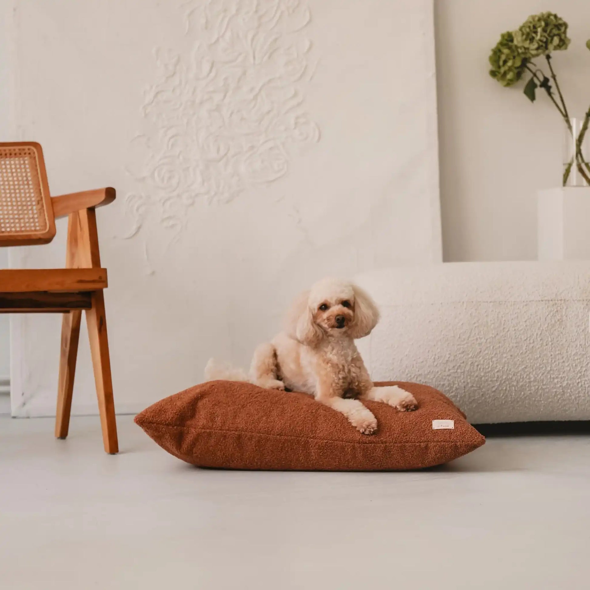 Piesek (pudel miniaturowy) leży na miękkim legowisku dla psa (poduszka dla psa) w kolorze nugat (rudy brąz), która znajduje się w jasnym, nowoczesnym wnętrzu na tle kanapy, obrazu oraz drewnianego krzesła. Nowoczesna, wysokiej jakości tkanina boucle z certyfikatami bezpieczeństwa.