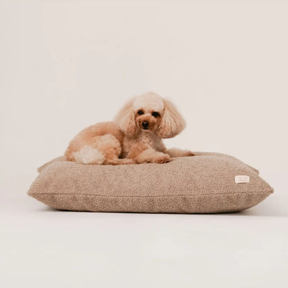 Piesek, rasy pudel leży na miękkim legowisku dla psa (poduszce) w kolorze pralinka (jasny brąz), która znajduje się na jasnym, czystym tle. Nowoczesna, wysokiej jakości tkanina boucle z certyfikatami bezpieczeństwa.