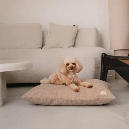 Piesek leży na miękkim legowisku dla psa (poduszce) w kolorze pralinka (jasny brąz), która znajduje się w jasnym, nowoczesnym wnętrzu na tle kanapy, stolika i drewnianego krzesła. Nowoczesna, wysokiej jakości tkanina boucle z certyfikatami bezpieczeństwa.