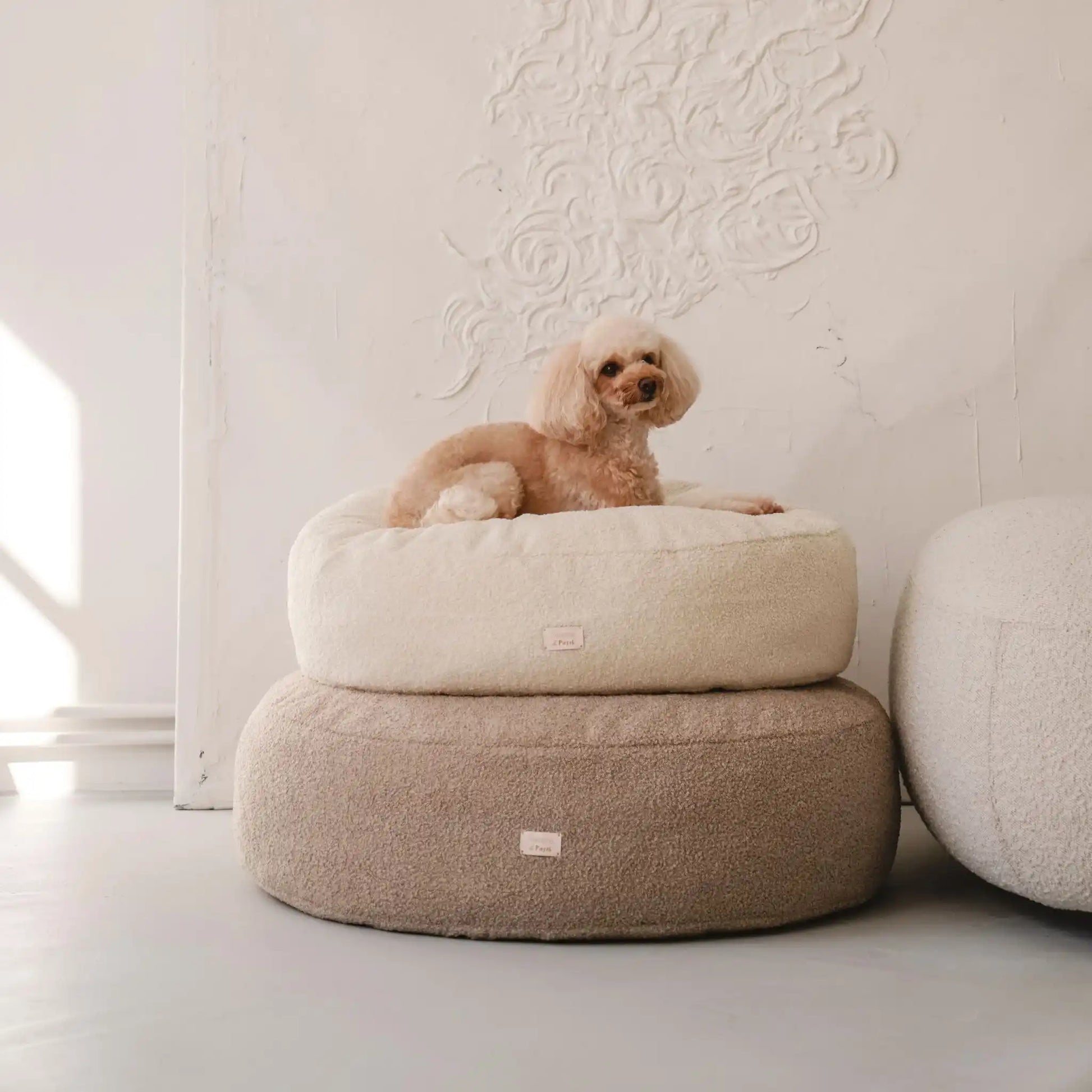 Piesek leży na dwóch (ułożonych na sobie w rozmiarze m i l) miękkich legowiskach dla psa (pufa dla psa) w kolorze pralinka (jasny brąz) oraz chałwa (kremowy), które znajdują się w jasnym, nowoczesnym wnętrzu na tle kanapy oraz nowoczesnego obrazu w jednolitym kolorze). Nowoczesna, wysokiej jakości tkanina boucle z certyfikatami bezpieczeństwa.