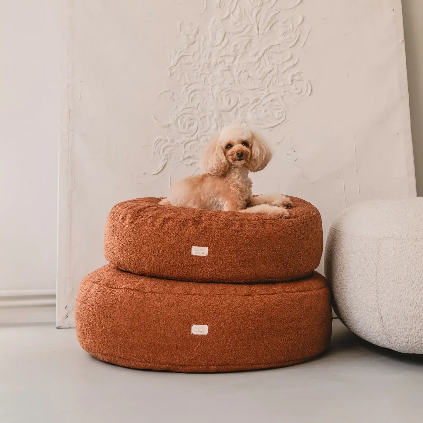 Piesek leży na dwóch (ułożonych na sobie w rozmiarze m i l) miękkich legowiskach dla psa (pufa dla psa) w kolorze nugat (rudy brąz), które znajdują się w jasnym, nowoczesnym wnętrzu na tle kanapy oraz nowoczesnego obrazu w jednolitym kolorze). Nowoczesna, wysokiej jakości tkanina boucle z certyfikatami bezpieczeństwa.