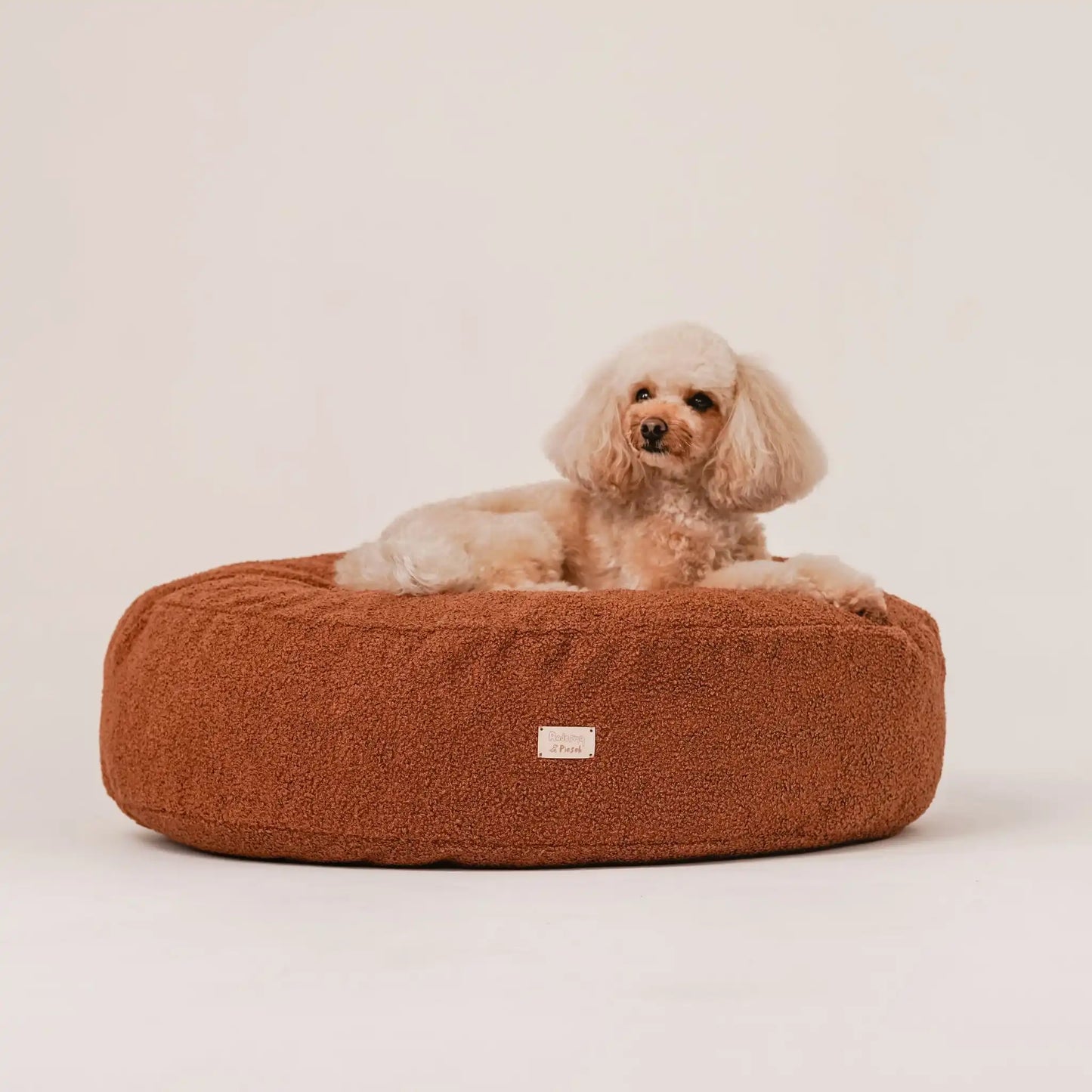 Piesek, rasy pudel leży na miękkim legowisku dla psa (pufa dla psa) w kolorze nugat (rudy-brąz), która znajduje się na jasnym, czystym tle. Nowoczesna, wysokiej jakości tkanina boucle z certyfikatami bezpieczeństwa.