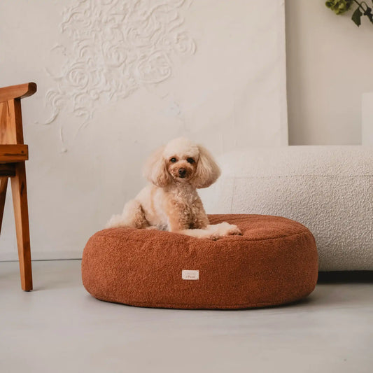 Piesek leży na miękkiej pufie dla psa w kolorze nugat (rudy brąz), która znajduje się w jasnym, nowoczesnym wnętrzu na tle kanapy, obrazu oraz drewnianego krzesła. Nowoczesna, wysokiej jakości tkanina boucle z certyfikatami bezpieczeństwa.