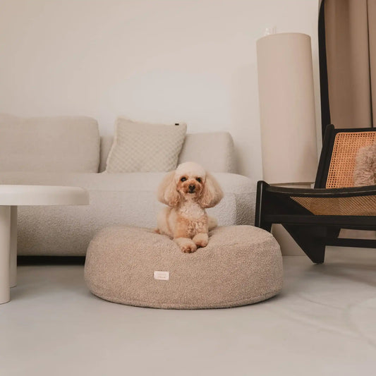 Piesek leży na miękkiej pufie dla psa w kolorze pralinka (jasny brąz), która znajduje się w jasnym, nowoczesnym wnętrzu na tle kanapy oraz drewnianego krzesła. Nowoczesna, wysokiej jakości tkanina boucle z certyfikatami bezpieczeństwa.